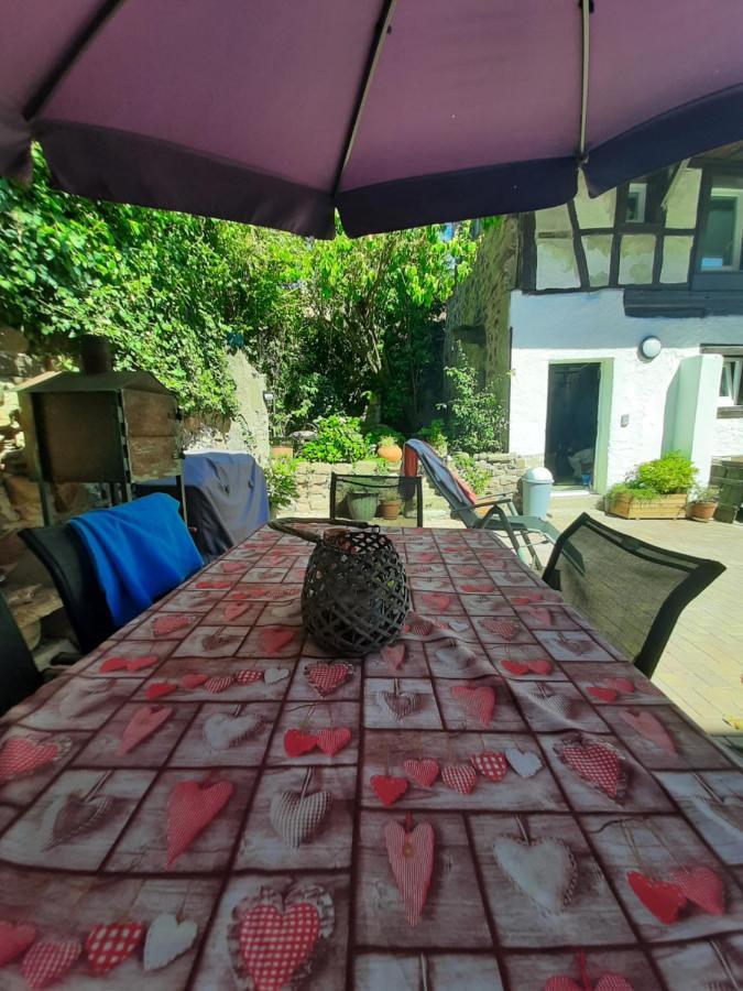 Studio Tout Confort 2 Personnes Au Coeur De L'Alsace Wolxheim Esterno foto