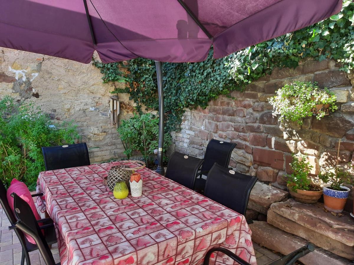 Studio Tout Confort 2 Personnes Au Coeur De L'Alsace Wolxheim Esterno foto