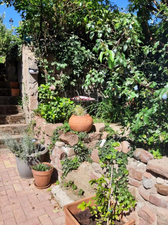 Studio Tout Confort 2 Personnes Au Coeur De L'Alsace Wolxheim Esterno foto