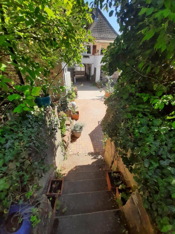 Studio Tout Confort 2 Personnes Au Coeur De L'Alsace Wolxheim Esterno foto