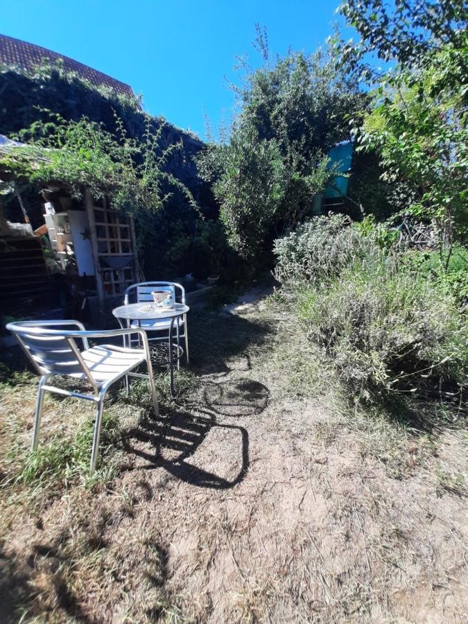 Studio Tout Confort 2 Personnes Au Coeur De L'Alsace Wolxheim Esterno foto