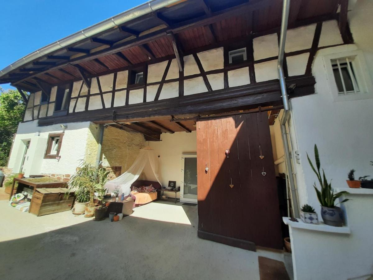 Studio Tout Confort 2 Personnes Au Coeur De L'Alsace Wolxheim Esterno foto