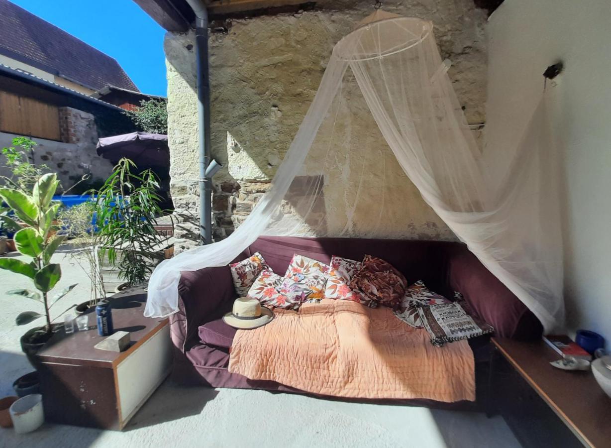 Studio Tout Confort 2 Personnes Au Coeur De L'Alsace Wolxheim Esterno foto