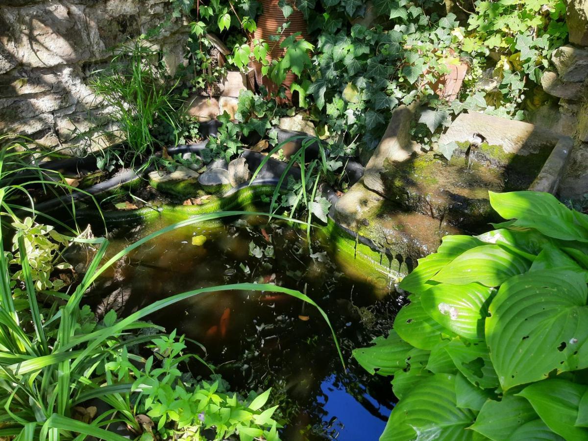 Studio Tout Confort 2 Personnes Au Coeur De L'Alsace Wolxheim Esterno foto