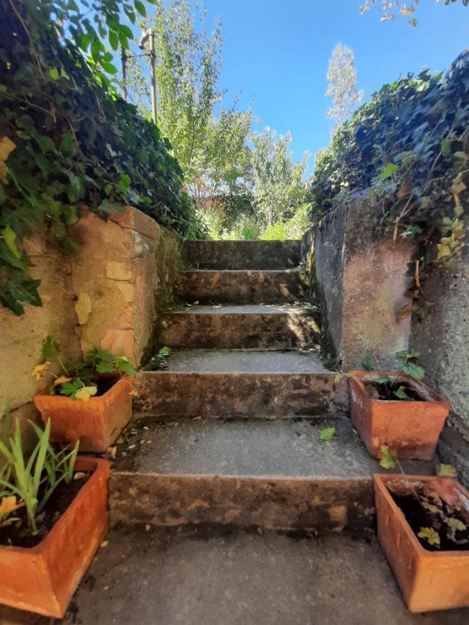 Studio Tout Confort 2 Personnes Au Coeur De L'Alsace Wolxheim Esterno foto