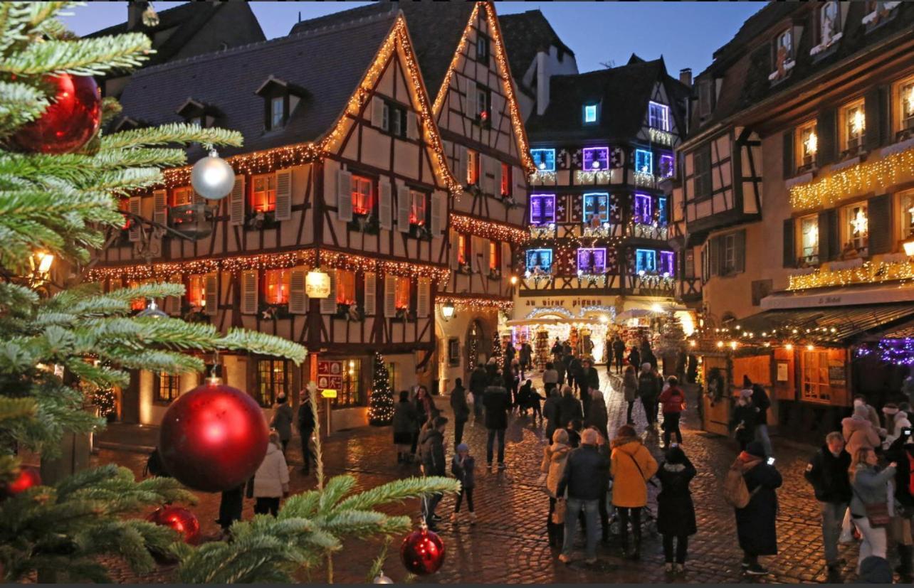 Studio Tout Confort 2 Personnes Au Coeur De L'Alsace Wolxheim Esterno foto