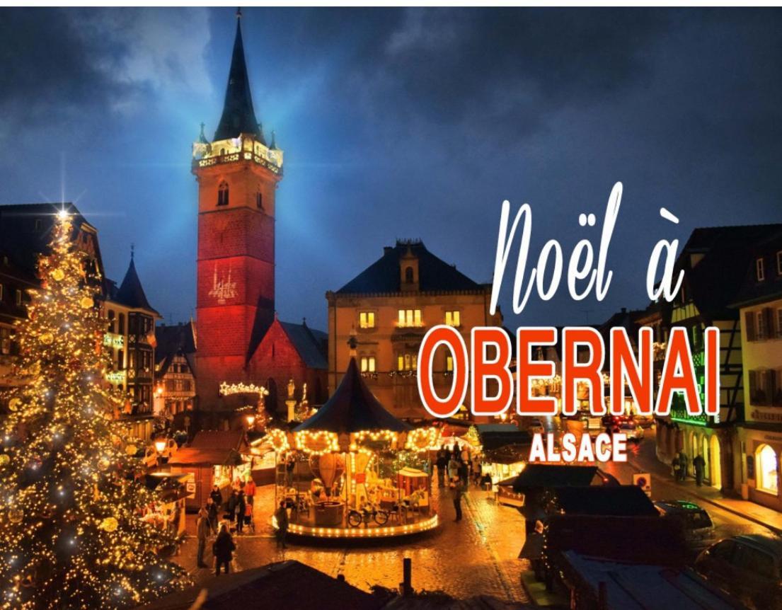 Studio Tout Confort 2 Personnes Au Coeur De L'Alsace Wolxheim Esterno foto
