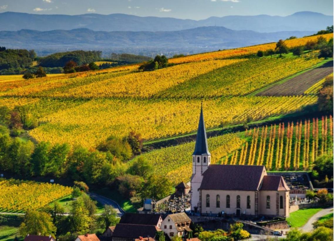 Studio Tout Confort 2 Personnes Au Coeur De L'Alsace Wolxheim Esterno foto