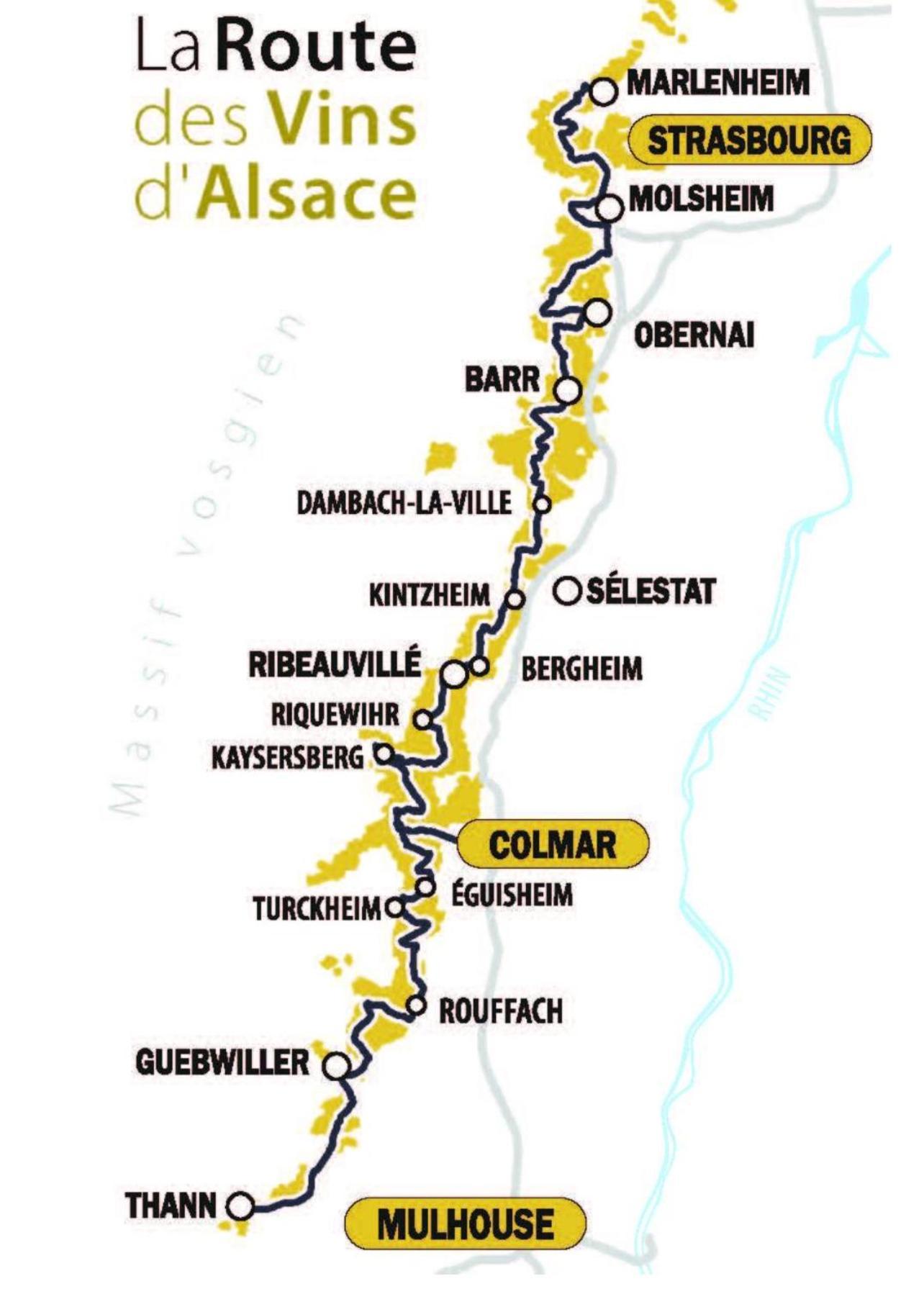Studio Tout Confort 2 Personnes Au Coeur De L'Alsace Wolxheim Esterno foto