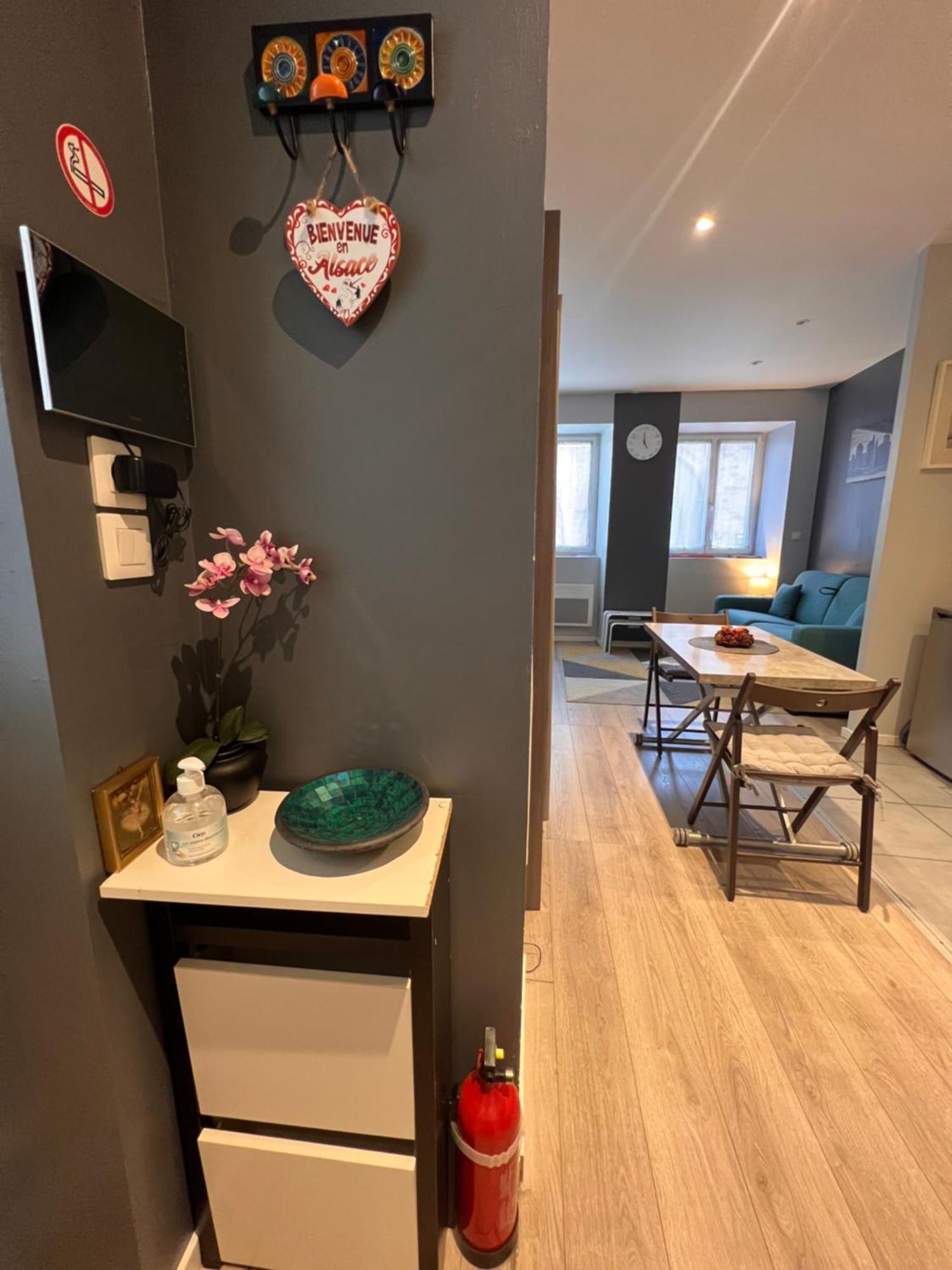 Studio Tout Confort 2 Personnes Au Coeur De L'Alsace Wolxheim Esterno foto