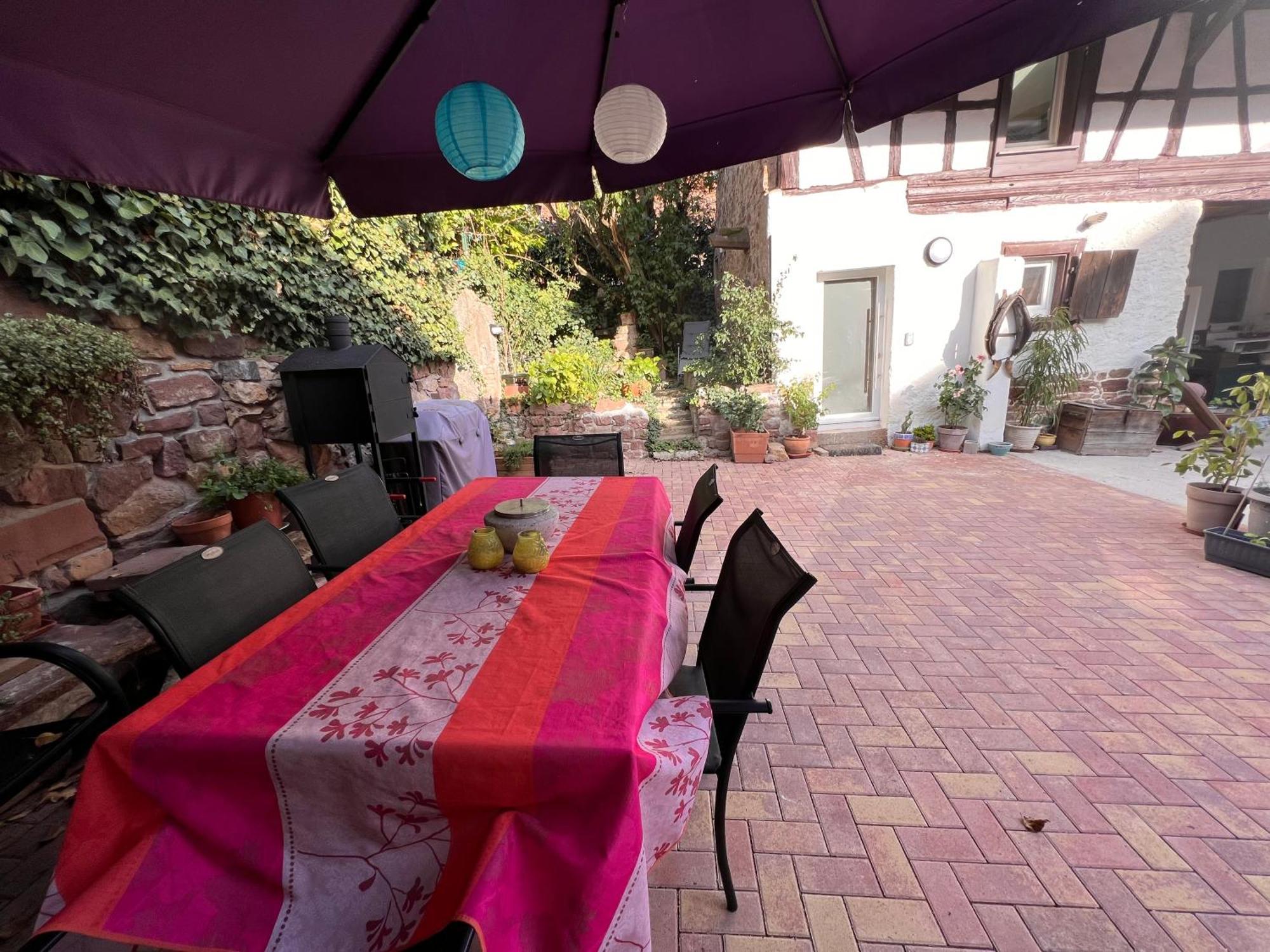 Studio Tout Confort 2 Personnes Au Coeur De L'Alsace Wolxheim Esterno foto
