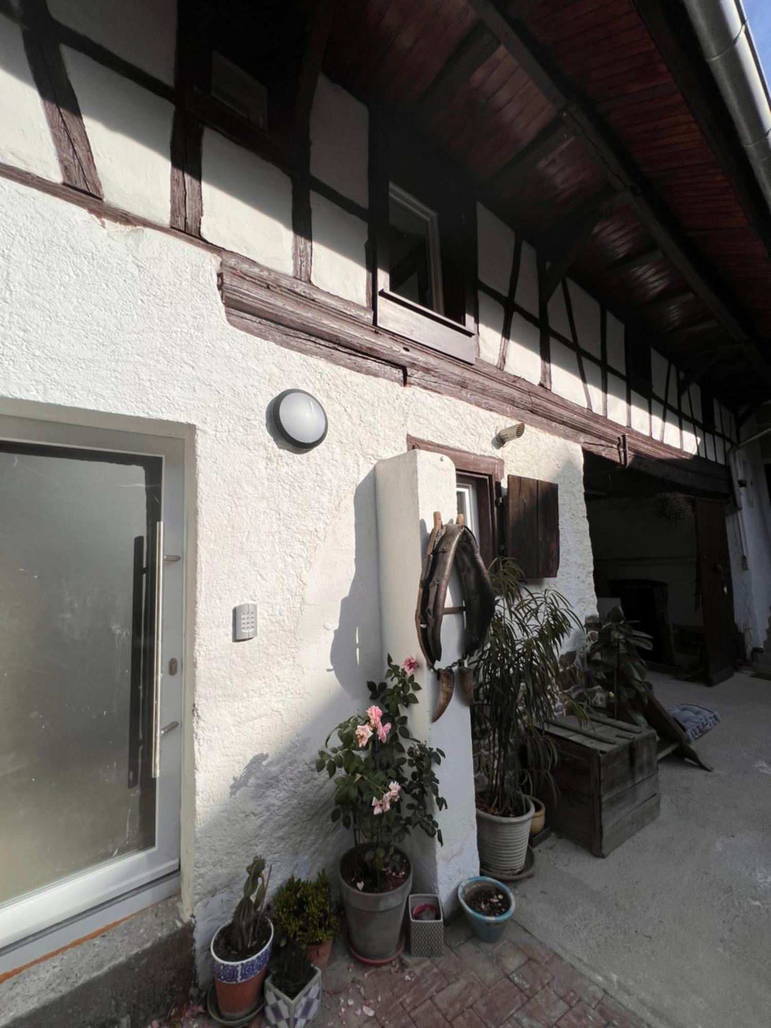 Studio Tout Confort 2 Personnes Au Coeur De L'Alsace Wolxheim Esterno foto