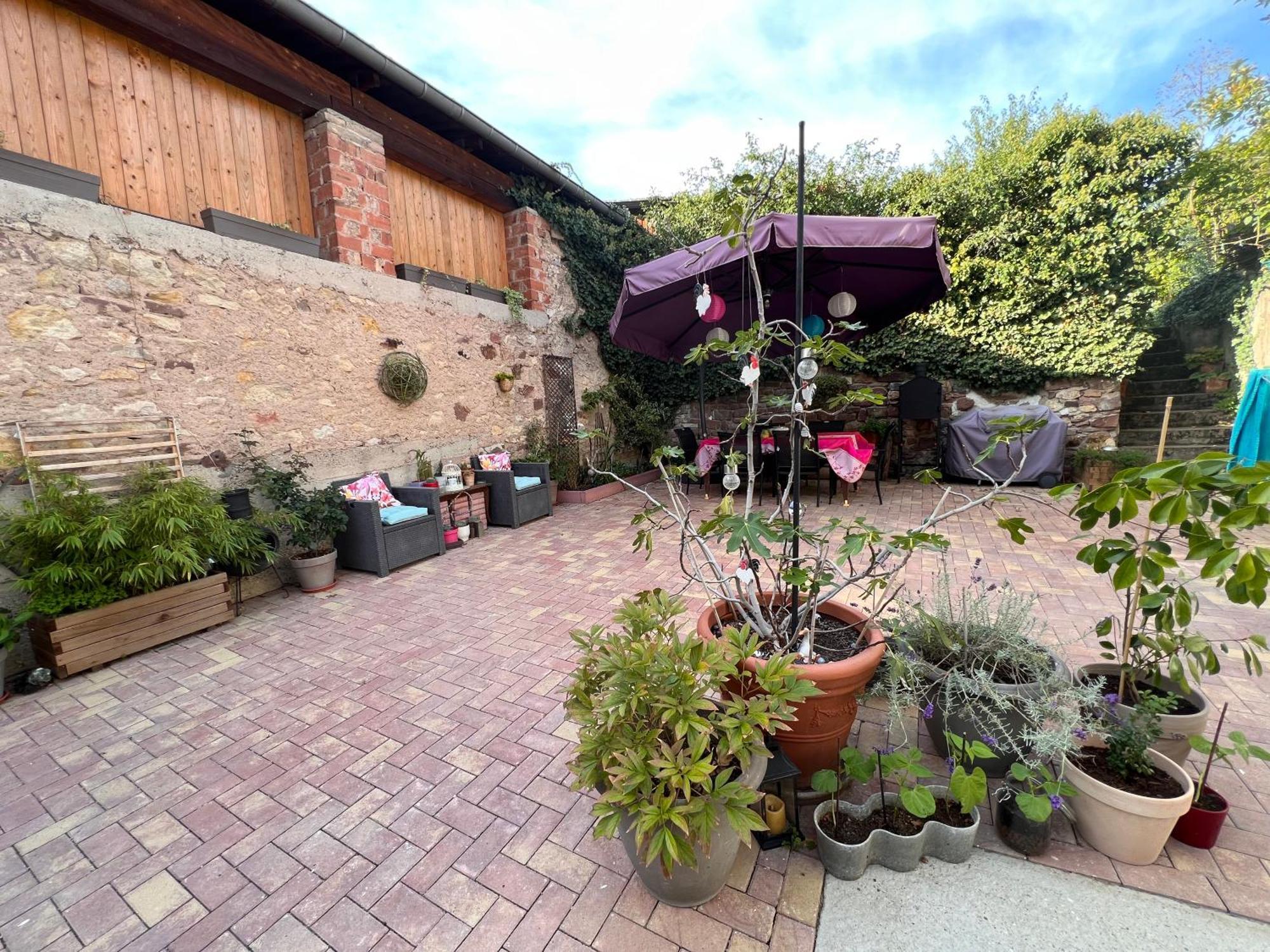 Studio Tout Confort 2 Personnes Au Coeur De L'Alsace Wolxheim Esterno foto